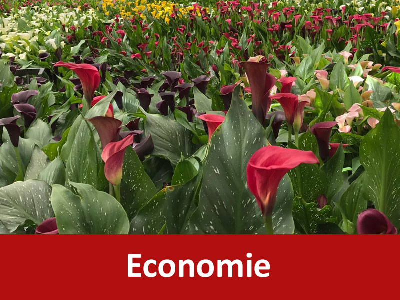 Thema Economie - Amstelland-Meerlanden Regio